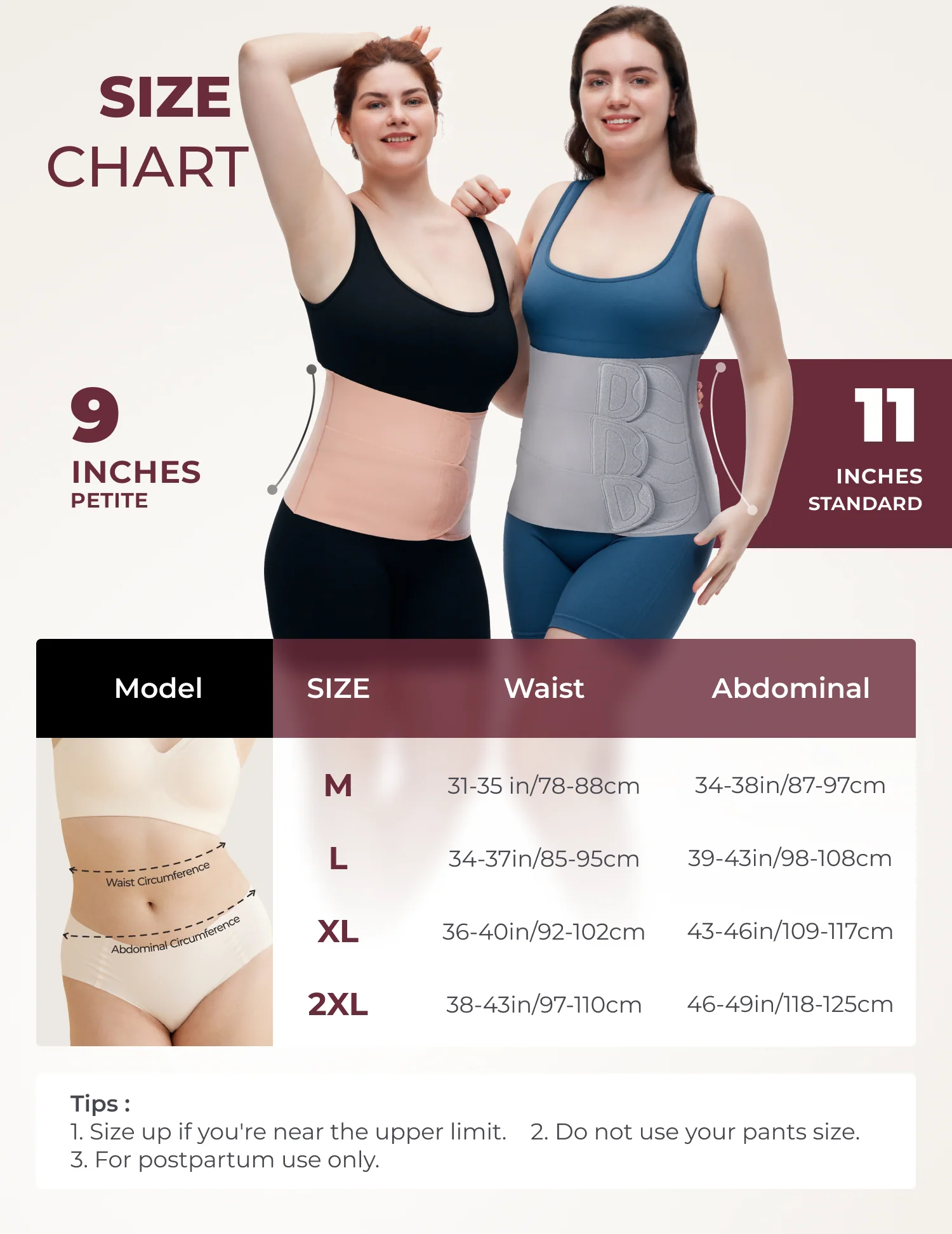 Pack de Recuperación Postparto: Banda Abdominal Ergonest y Banda Abdominal Postparto Petite - Image 14